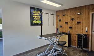 salon_grooming-raum-tisch-mit-motivbild