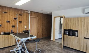 salon_grooming-raum-weitwinkel